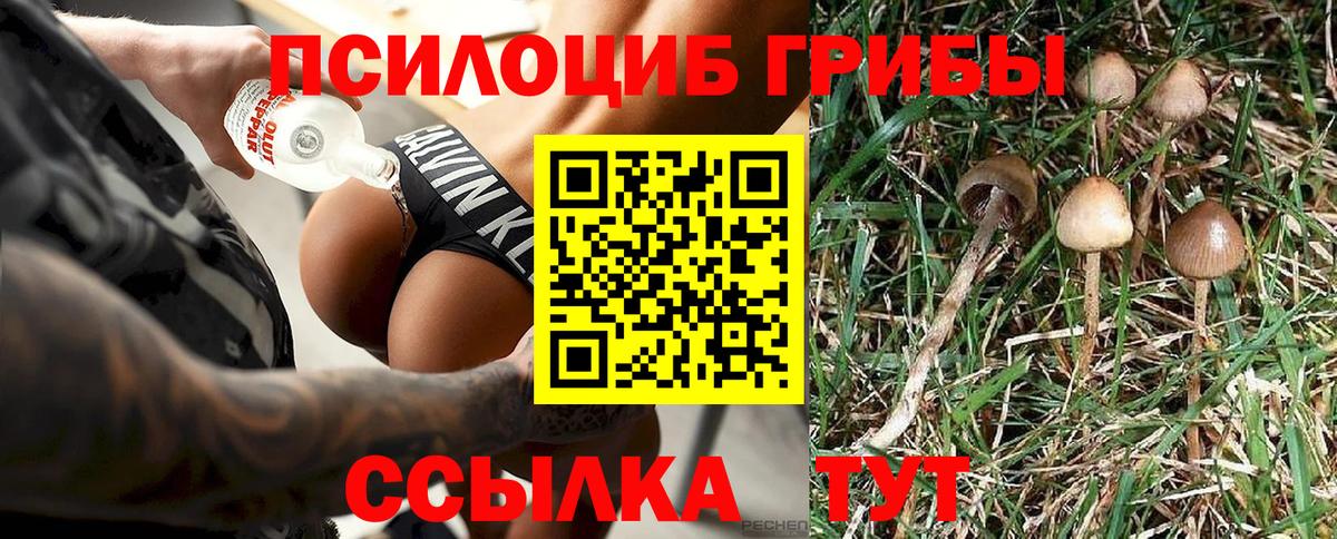 Галлюциногенные грибы GOLDEN TEACHER  Вход с VPN  Галлюциногенные грибы мухоморы  Кизилюрт 